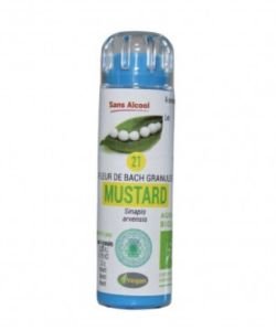 Mustard (21) ALCOHOL FREE